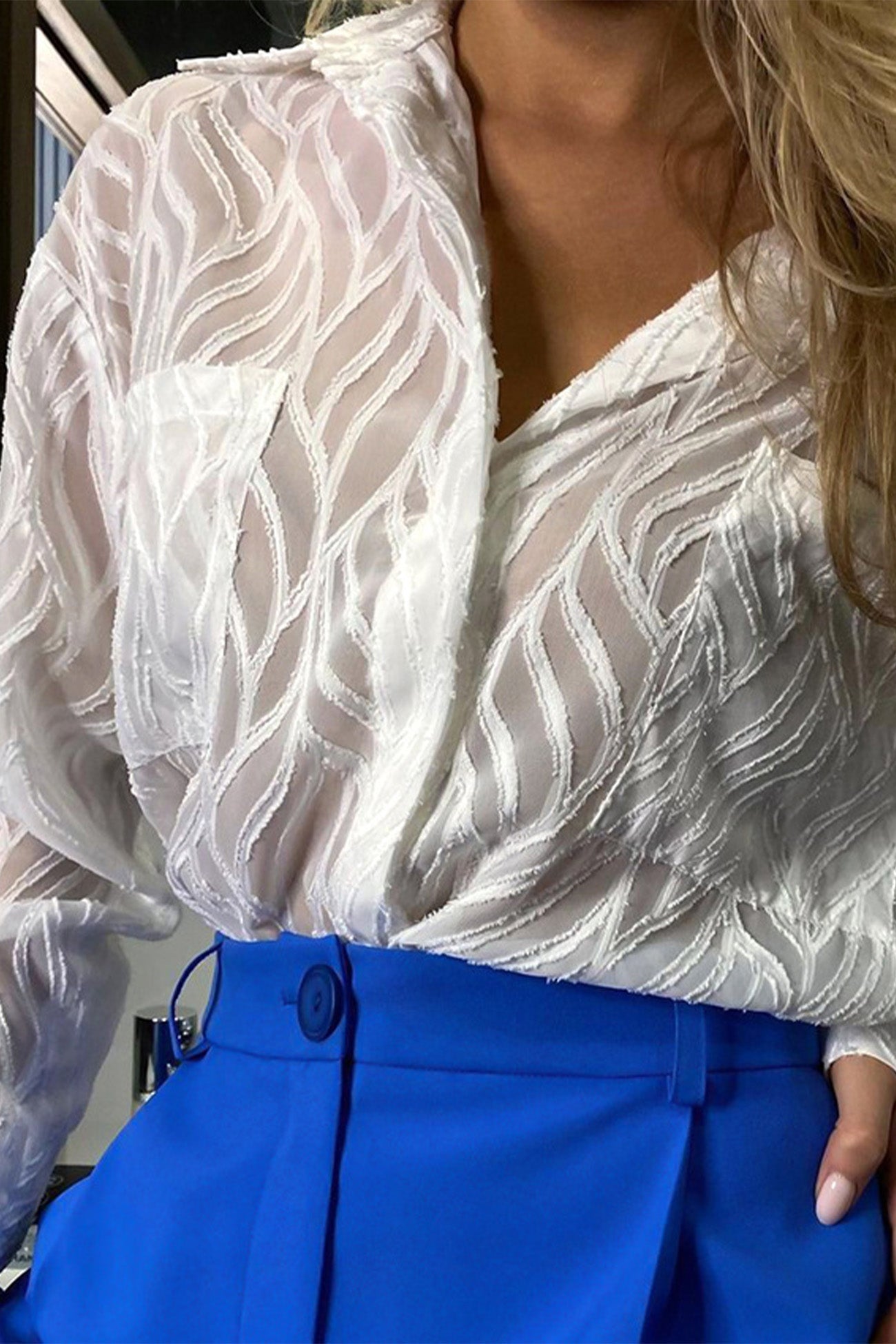 Sheer Textured Long Sleeve Button-Up Blouse