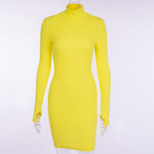 Autumn Long Sleeve Solid Color High Collar Bodycon Mini Dress
